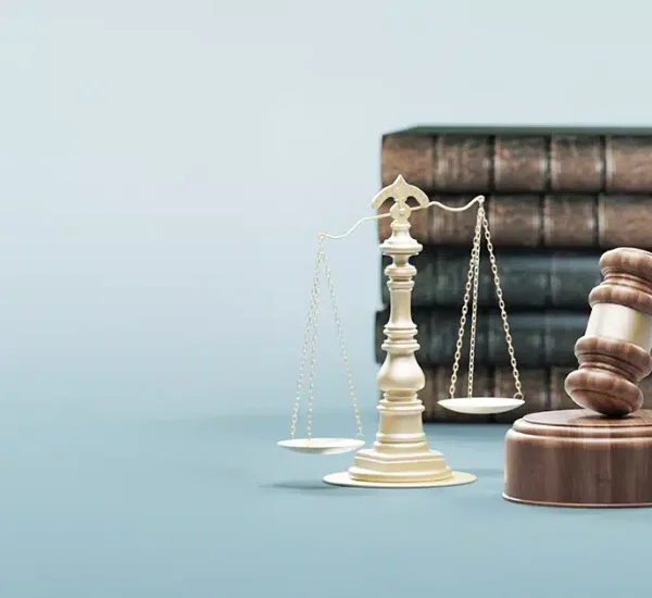 Best Guide to USA Liability Law in Modern Legal Cases